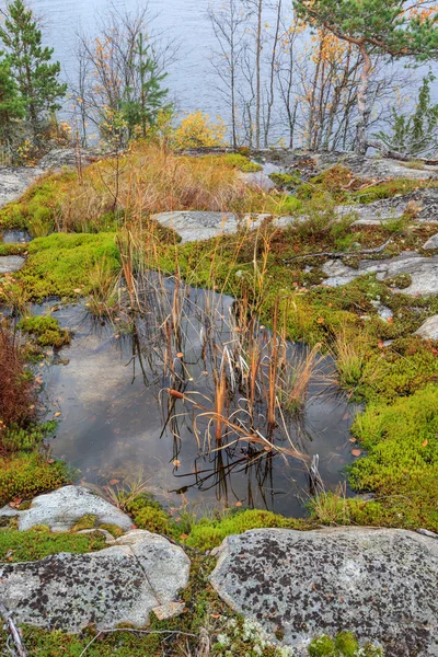 Côte rocheuse du lac d'automne — Photo