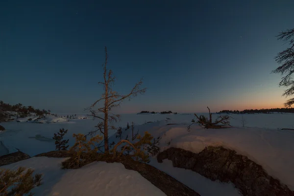 Hiver, côte du lac gelé . — Photo