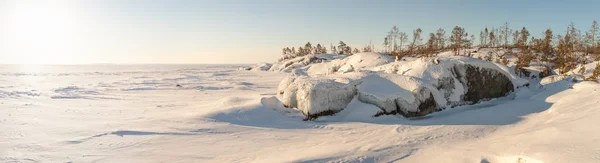 Inverno, costa del lago ghiacciato . — Foto Stock