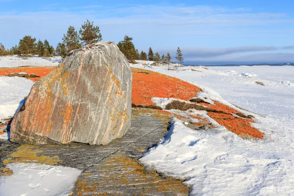 Великий камінь і помаранчевий мох на сніговому узбережжі зимового моря Ба — стокове фото