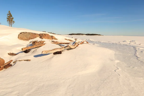 Rocky coast of the frozen winter sea. Barents sea. — Stock Photo, Image