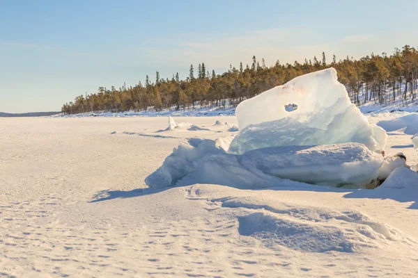 Ice hummocks on winter coast of Barents sea — Stock Photo, Image