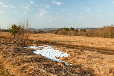 Bir bahar alan ahşap yakın Karda çözdürme.