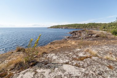 kayalık sahil göl. 