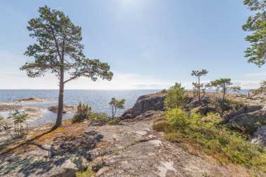 kayalık sahil göl. 