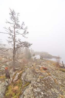 Sis taşlı Gölü kıyısında. Bahar manzara