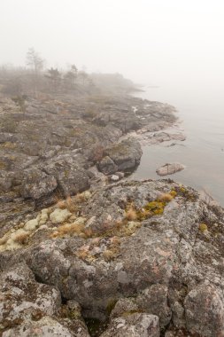 Sis taşlı Gölü kıyısında. Bahar manzara