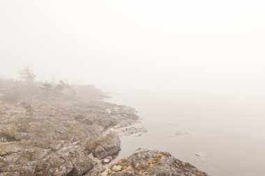 Sis taşlı Gölü kıyısında. Bahar manzara