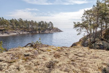 Kayalık sahil göl. Bir manzara