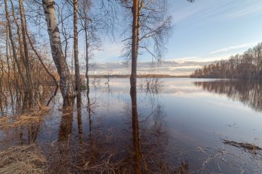 Bahar yüksek su ahşap gölde. Bir manzara