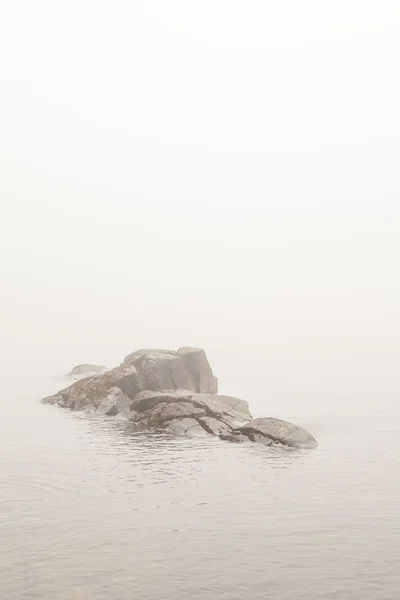 Pierre dans l'eau . — Photo