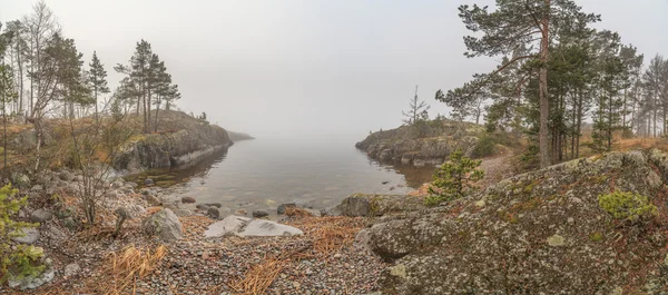 Brouillard sur la côte pierreuse du lac. paysage printanier — Photo