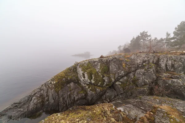 Mgła na kamienistym wybrzeżu jeziora. pejzaż wiosna — Zdjęcie stockowe