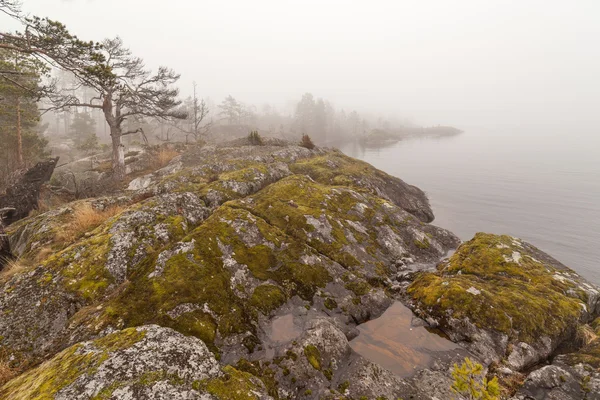 Brouillard sur la côte pierreuse du lac. paysage printanier — Photo