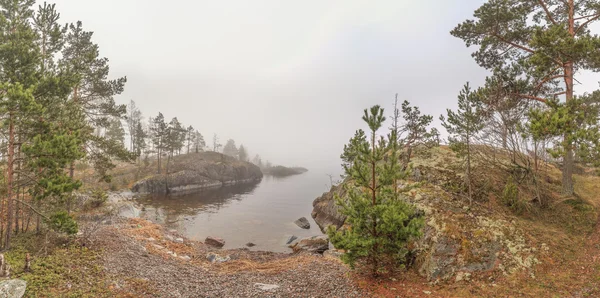 Brouillard sur la côte pierreuse du lac. paysage printanier — Photo