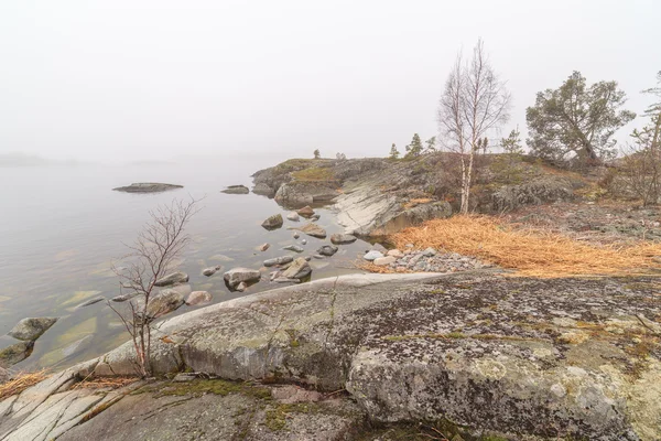 Nebel am steinigen Ufer des Sees. Frühlingslandschaft — Stockfoto