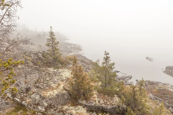 Nebel am steinigen Ufer des Sees. Frühlingslandschaft — Stockfoto