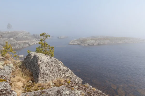 안개 호수의 돌. 봄 풍경 — 스톡 사진