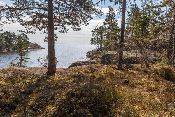 Skaliste wybrzeże jeziora. Krajobraz — Zdjęcie stockowe