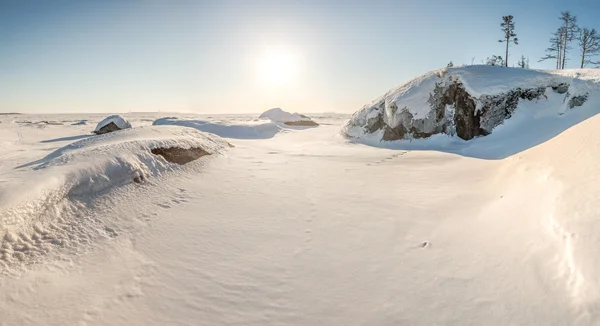 Зима, узбережжя замерзлого озера . — стокове фото