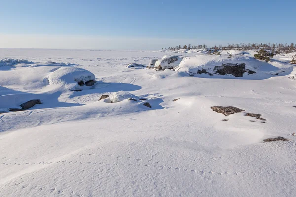Winter, coast of the frozen lake. — Stock Photo, Image