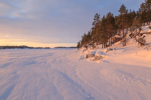 Winter, Küste des zugefrorenen Morgensees. lizenzfreie Stockfotos