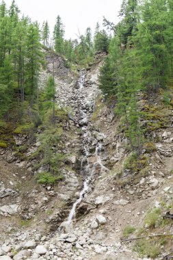 Dağ dere. Sayan Dağları. Manzara