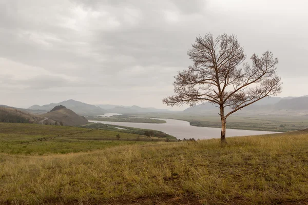 Selenga River Valley. — Stock Photo, Image