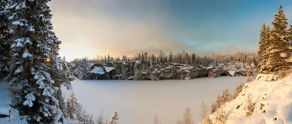 Kış, bir orman göl.