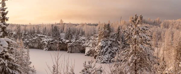 Kış, bir orman göl.
