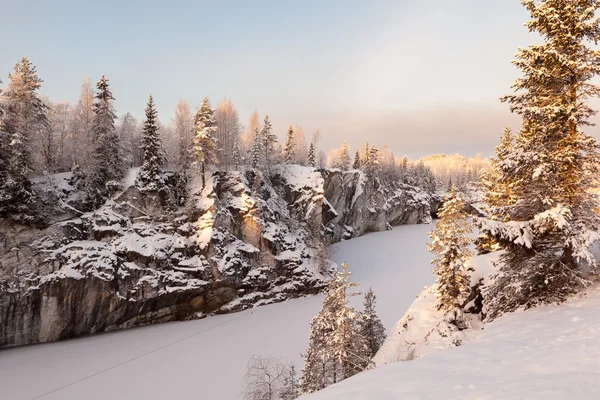 Winter, een bos meer. Stockafbeelding