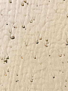 beyaz kum ve taşlar