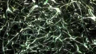 Nöronlar beyin zihni akson düşünce sinirsel ağ hologram hücre sağlığı bilim döngüsü