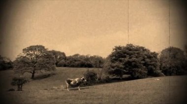 UFO uzaylıları kaçırıyor UFO 'lar tanımlanamayan uçan nesneler yakın temasta 4k