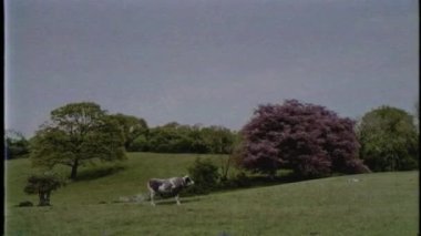 UFO uzaylıları kaçırıyor UFO 'lar tanımlanamayan uçan nesneler yakın temasta 4k