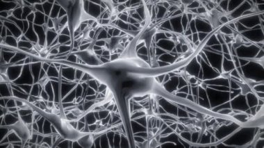 Nöronlar beyin zihni akson düşünce sinirsel ağ hologram hücre sağlığı bilimi 4k