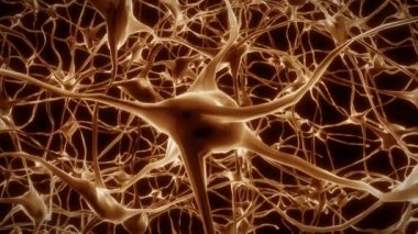 Nöronlar beyin zihni akson düşünce sinirsel ağ hologram hücre sağlığı bilimi 4k