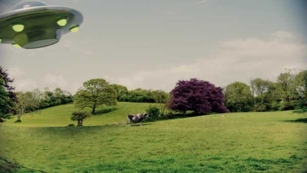 Ufo Obcy Uprowadzenie Krowa Ufo Niezidentyfikowany Obiekt Latający Cudzoziemcy Bliskie — Wideo stockowe