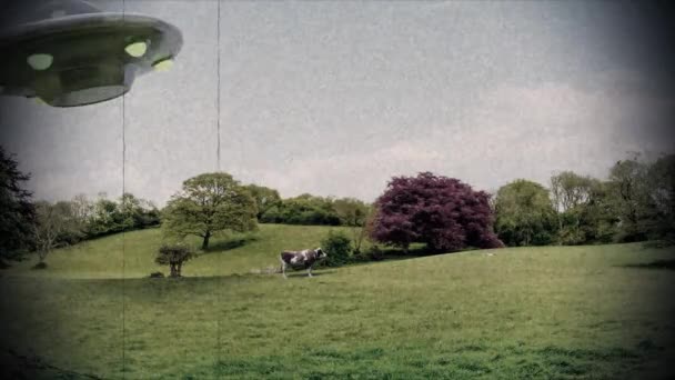 Ufo Alien Abduction Cow Ufo Unidentified Flying Object Aliens Close — Vídeo de Stock