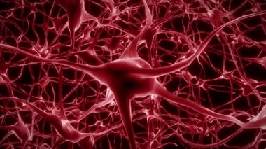 Nöronlar beyin zihni akson düşünce sinirsel ağ hologram hücre sağlığı bilimi 4k