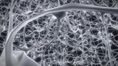 Nöronlar beyin zihni akson düşünce sinirsel ağ hologram hücre sağlığı bilimi 4k