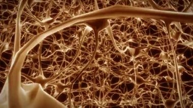 Nöronlar beyin zihni akson düşünce sinirsel ağ hologram hücre sağlığı bilimi 4k