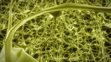 Nöronlar beyin zihni akson düşünce sinirsel ağ hologram hücre sağlığı bilimi 4k