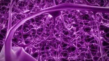 Nöronlar beyin zihni akson düşünce sinirsel ağ hologram hücre sağlığı bilimi 4k