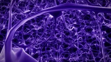 Nöronlar beyin zihni akson düşünce sinirsel ağ hologram hücre sağlığı bilimi 4k