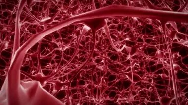 Nöronlar beyin zihni akson düşünce sinirsel ağ hologram hücre sağlığı bilimi 4k