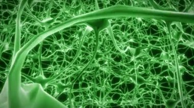 Nöronlar beyin zihni akson düşünce sinirsel ağ hologram hücre sağlığı bilimi 4k