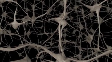 Nöronlar beyin zihni akson beyin ağı dendrite hücre sağlığı bilimi 4k