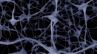 Nöronlar beyin zihni akson beyin ağı dendrite hücre sağlığı bilimi 4k
