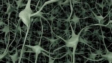 Nöronlar beyin zihni akson beyin ağı dendrite hücre sağlığı bilimi 4k